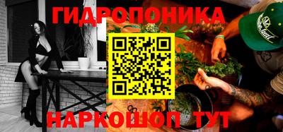 spice Кунгур