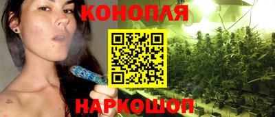 spice Кунгур